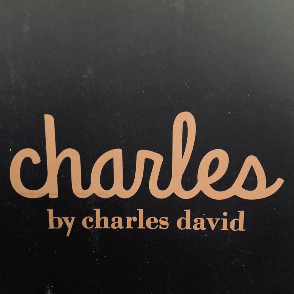 Charles by Charles David Grady Wedge Sandal Size 6 - Picture 7 of 8